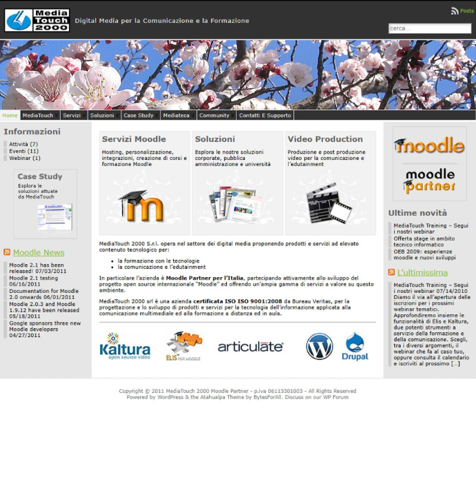 sito web nel 2011